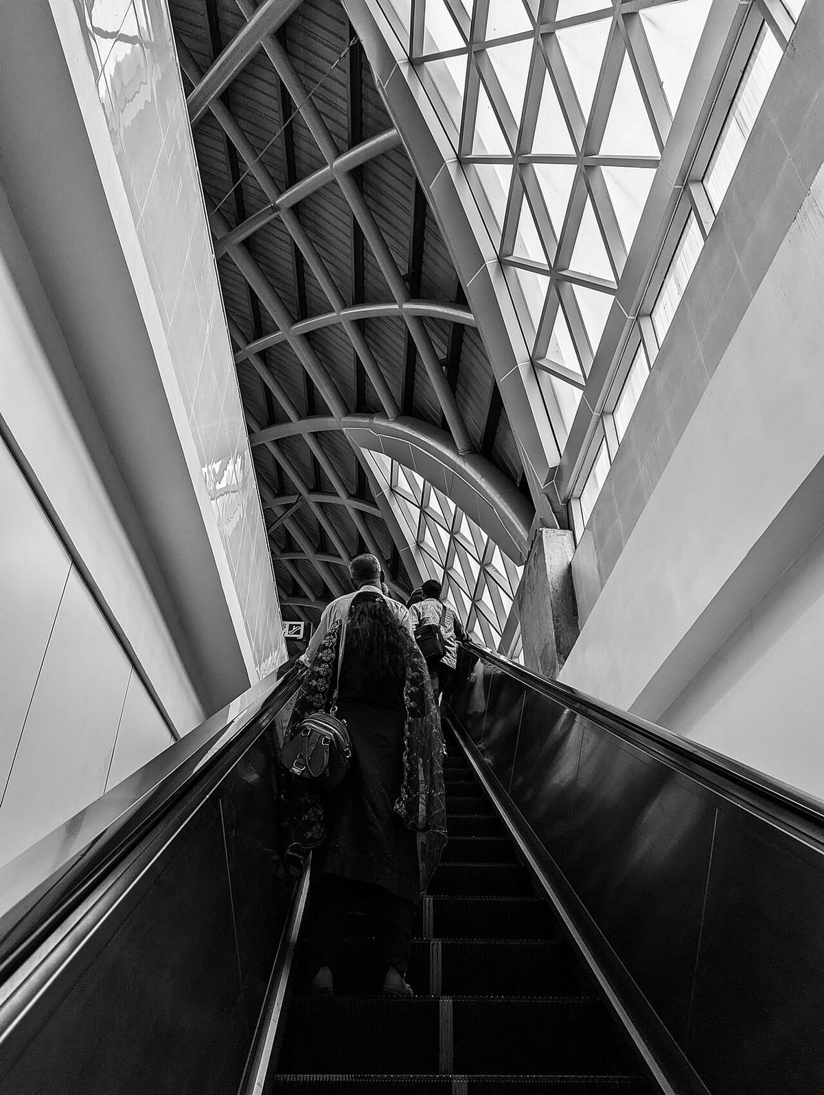 Our timeline, ourselves