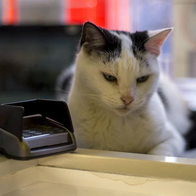 Everyone knows it’s broken