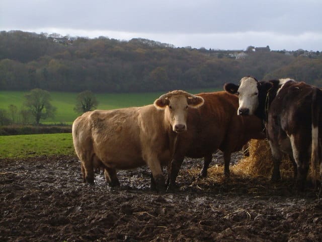 "How to interrupt a Sith wedding" by P.O. Arnäs is licensed under CC BY 2.0. To view a copy of this license, visit https://creativecommons.org/licenses/by/2.0/.