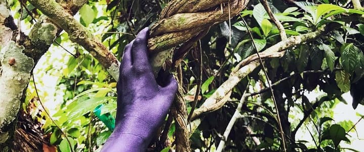 What’s VR for? A conversation with Monika Bielskyte